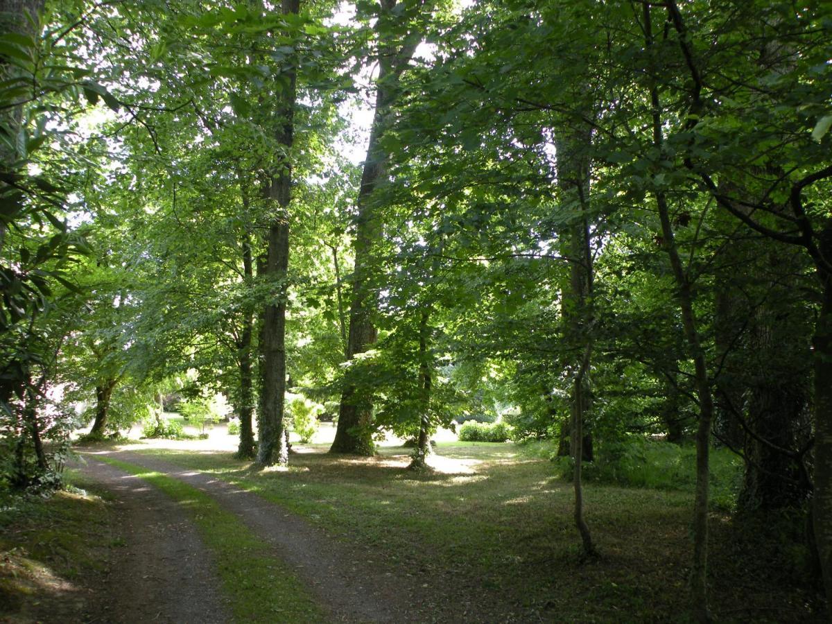 Les Talvasieres Le Mans Zewnętrze zdjęcie